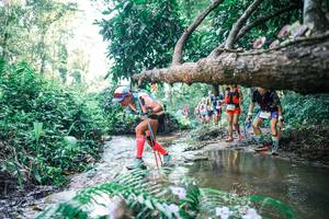 BIB: 
                            <button type="button" onclick="openModal(25442165)" class="btn btn-primary btn-sm float-right btn-popup" data-toggle="modal" data-target=".modal-high-quality">
                        <i class="fas fa-shopping-cart"></i> Add to Cart
                    </button>
                                            <button type="button" onclick="isThisMe(25442165, true)" class="btn btn-success btn-sm float-right btn-popup btn-isme hidden" data-toggle="tooltip" data-placement="bottom" title="นี่คือรูปของคุณใช่ไหม คลิกที่นี่เพื่อเอาเข้าอัลบั้ม">
                        <i class="fas fa-plus"></i> Add to album
                    </button>
                    <button type="button" onclick="isThisMe(25442165, false)" class="btn btn-warning btn-sm float-right btn-popup btn-isnotme hidden">
                        <i class="fas fa-ban"></i> Remove from album
                    </button>